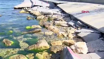 Beylikdüzü sahilinde yürüyüş yolu çöktü