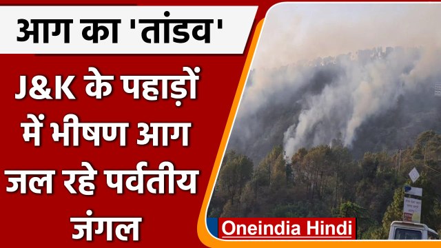 Forest fire video: Shimla से लेकर Jammu-kashmir, uttarkhand तक आग का कहर | वनइंडिया हिंदी