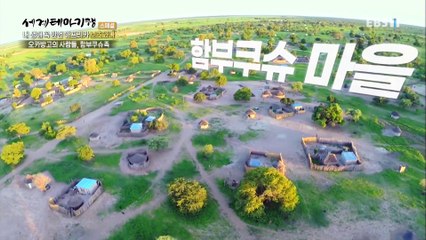 세계테마기행 - 내 생애 꼭 한번, 아프리카- 오카방고를 가다_#003