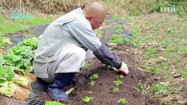 한국기행 - Korea travel_봄 배달 왔습니다 5부- 산속에 봄비가 내리면_#001