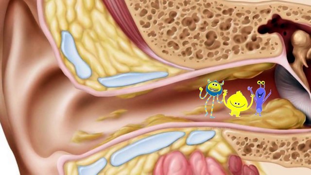 How Cotton swab Damage The ears Are Cotton swabs Harmful in Urdu Hindi