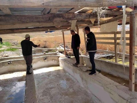 Van'da alabalık tesisleri denetleniyor