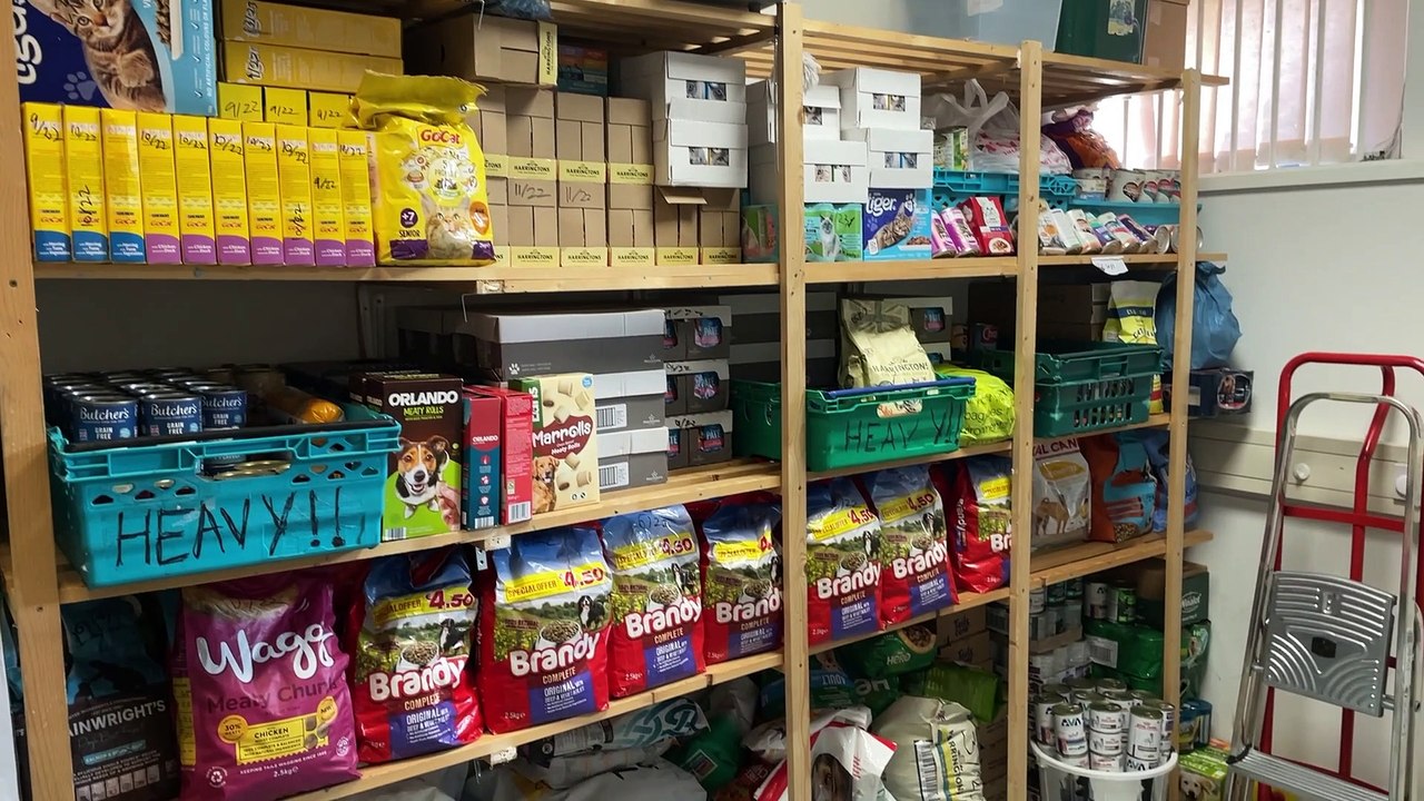 Blue Cross charity says demand for pet food bank has increased because of cost of living