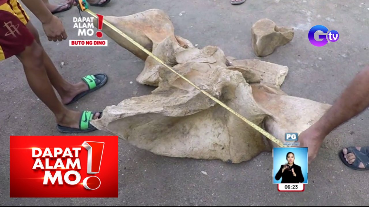 Dapat Alam Mo!: Buto umano ng dinosaur, nahukay sa isang isla sa Masbate? | Part 2