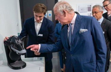 Prince Charles backs face masks for cows in bid to tackle climate change initiative