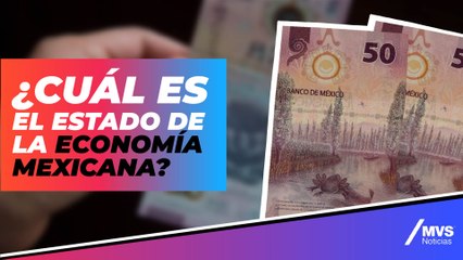 Economía mexicana sigue mostrando signos de debilidad: Pedro Tello