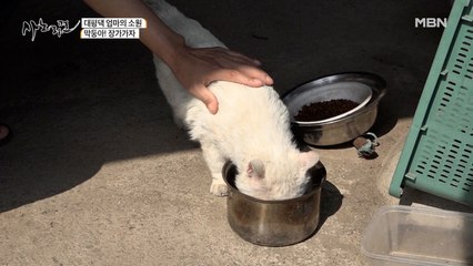 전라남도 구례 86세 대평댁 엄마와 56세 노총각 막둥이!