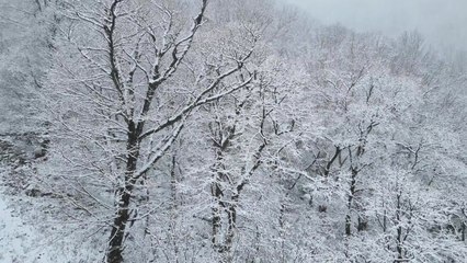 입하 앞둔 4월 끝자락...다시 눈 속에 파묻힌 강원 산간 / YTN