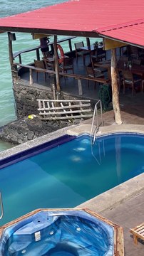 Sea Lion Comes on Land, Swims in Pool and Steals Man's Chair