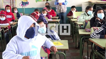 ¡Fallida convocatoria! Solo un 30% del estudiantado recibe clases presenciales