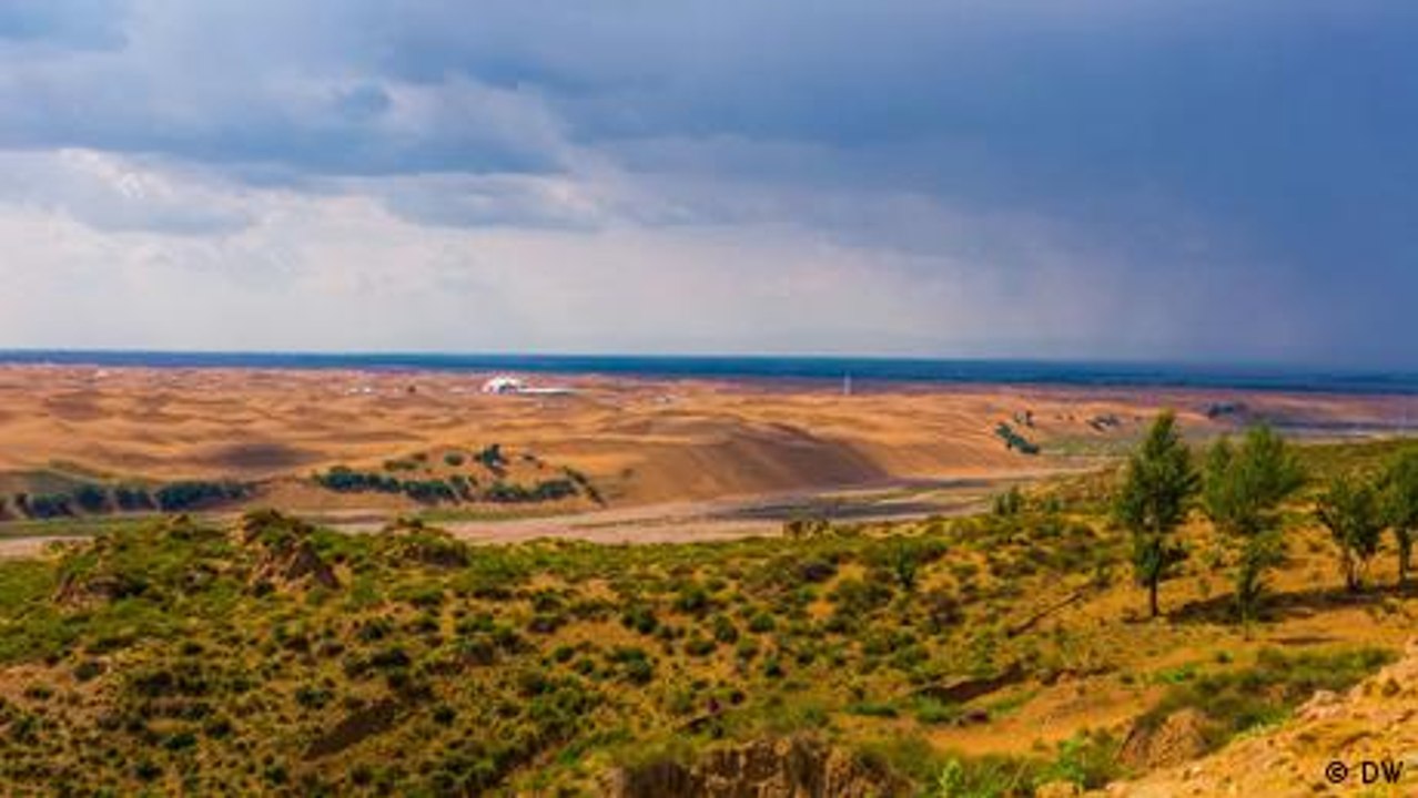 Protecting the planet against desertification