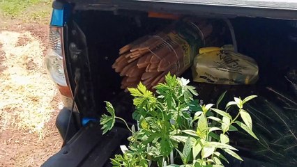 County Soil & Water District My Trees Came In