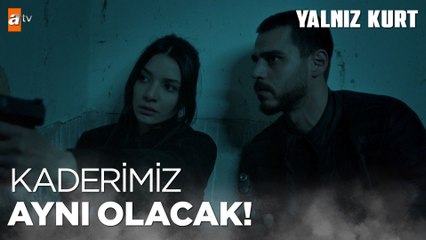 Sare ve Altay köşeye sıkıştı! - Yalnız Kurt 14.Bölüm