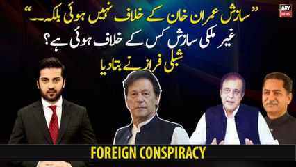"The conspiracy was not against Imran Khan but ... ", Shibli Faraz made a Big Revelation