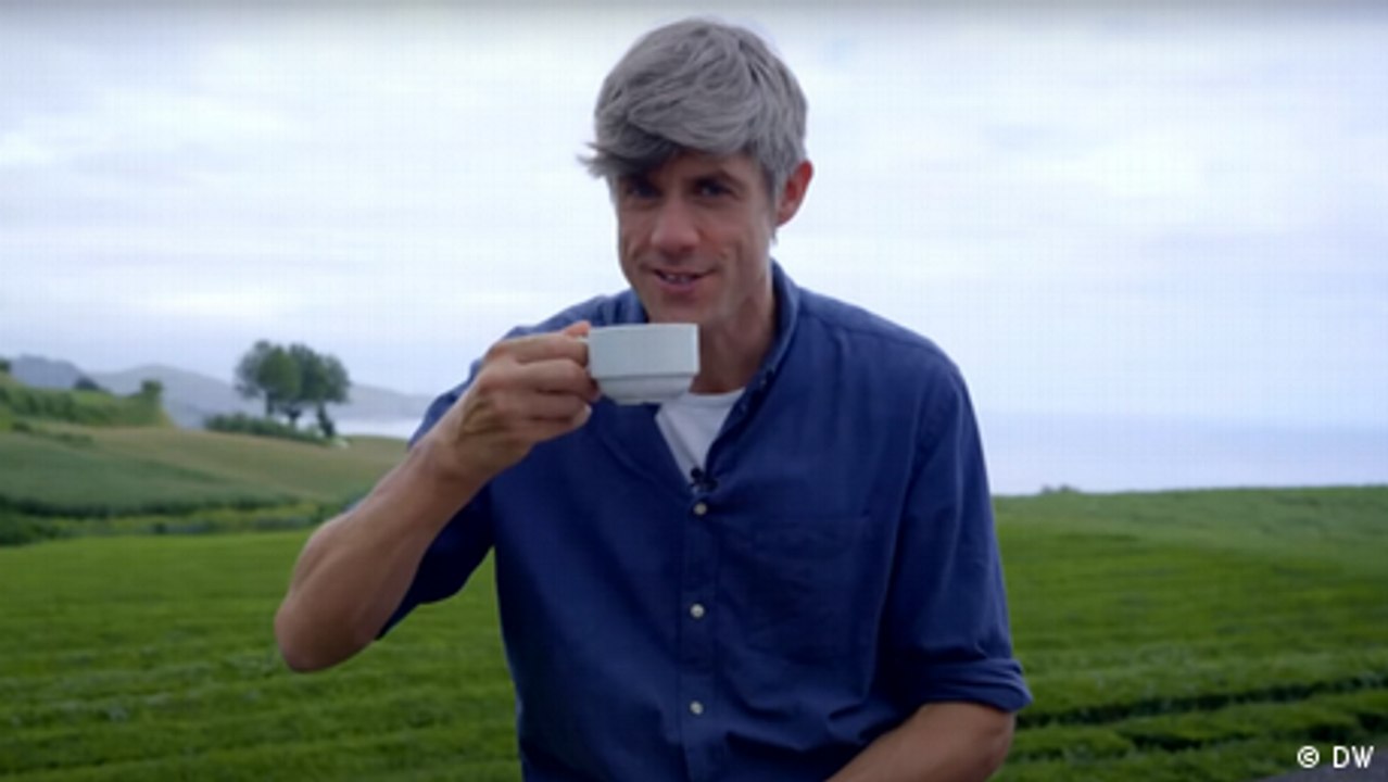 Europa maxximal: Die älteste Teeplantage Europas