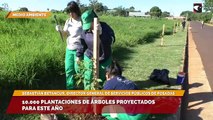 Realizan plantaciones de árboles en las avenidas de Posadas