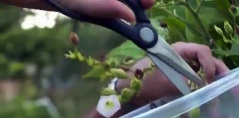 Doomsday Preppers S02 E08