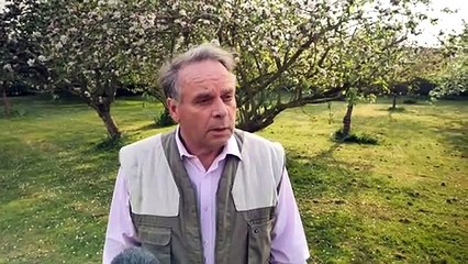 'It's embarrassing': MP speaks out over porn allegation