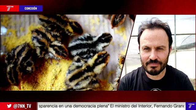 Juanvi Palleter: Las grandes empresas tienen intereses en producir fuera e importar