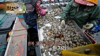 "바다의 산삼" 세계에서 최고로 꼽는 완도 전복!