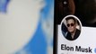 Musk Plans To Slash Twitter Board Salaries, Monetize Tweets, Sources Say