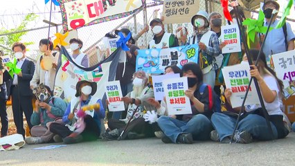 [영상리포트] '봄바람 순례단'이 길을 나선 이유 / YTN