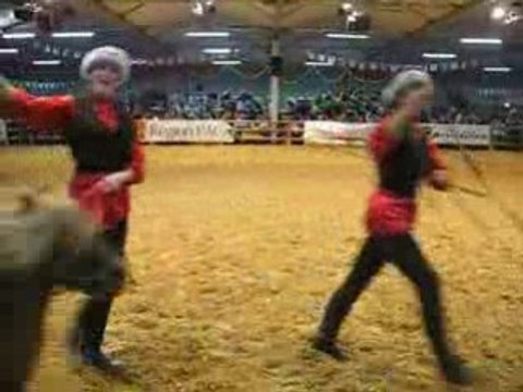 SHETLAND LONGUES RENES