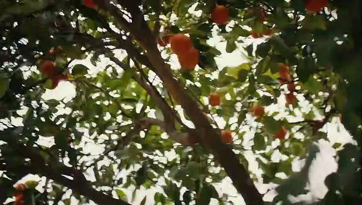 La Hija del Embajador - Sefirin Kizi - Capítulo 134 (AUDIO ESPAÑOL) - Video Dailymotion