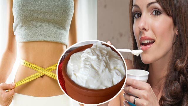 दही खाने से वेट लॉस होता है क्या | Dahi Khane se Weight Loss Hota Hai Kya |Boldsky