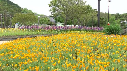 [날씨] 구름 많고 서늘한 주말, 곳곳 빗방울...함평은 나비 세상 / YTN