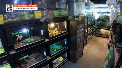 [선공개] 희귀 동물들에게 진심인 이 남자! 사육장을 100% 수작업으로 만든다?