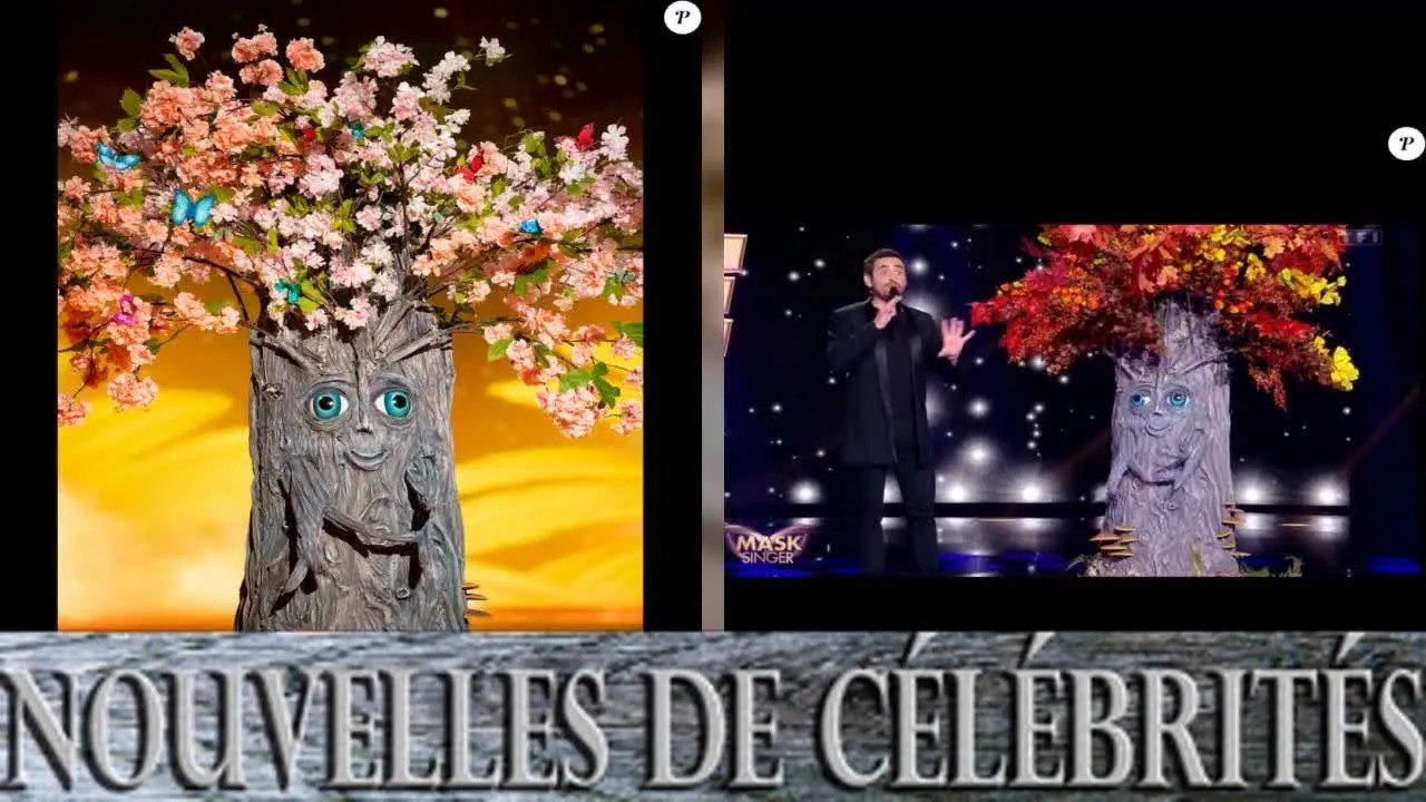 Mask Singer   l'Arbre  Tous les indices dévoilés