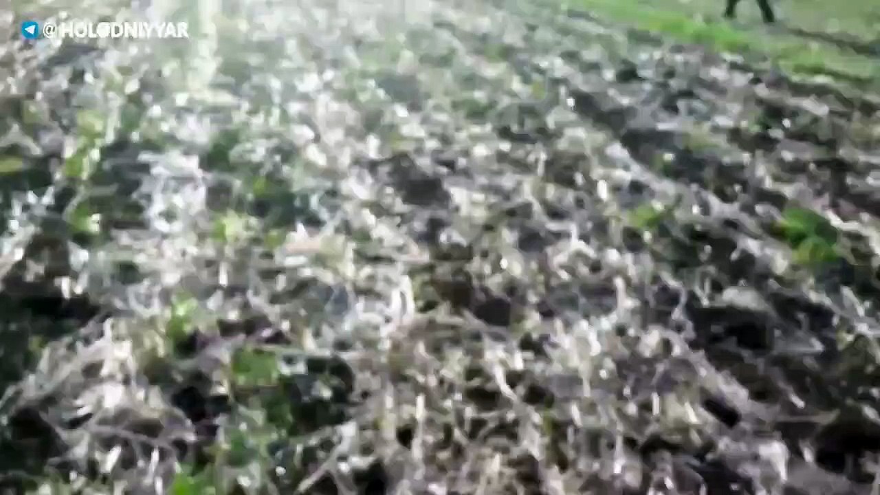 Πρώτη μεγάλη νίκη των Ρώσων στο Ντονμπάς Περικύκλωσαν 1.000