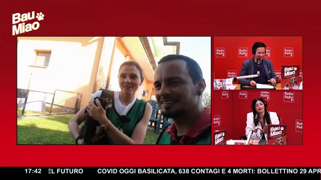 Primavera e animali domestici: come proteggere i nostri amici a quattro zampe, i consigli dell'esperto| Bau Miao 3° puntata