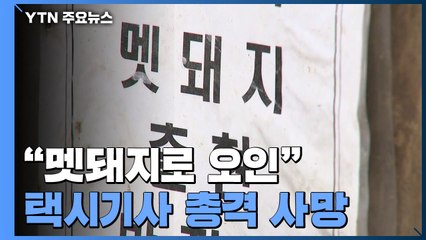 북한산에서 택시기사 총 맞아 숨져...엽사 "멧돼지로 착각" / YTN