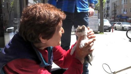 AVCILAR'DA MAZGALA DÜŞEN YAVRU KEDİ KURTARILDI