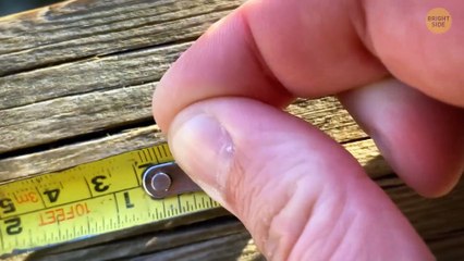 Lines on Plastic Cups Are Not For What You Think