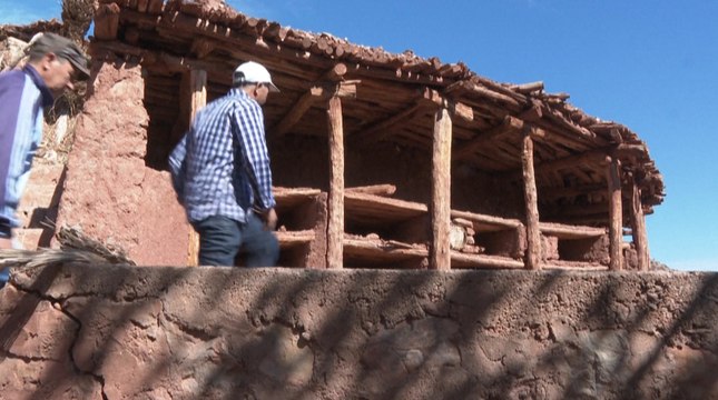 Changement climatique : au Maroc, les abeilles désertent le plus ancien rucher au monde