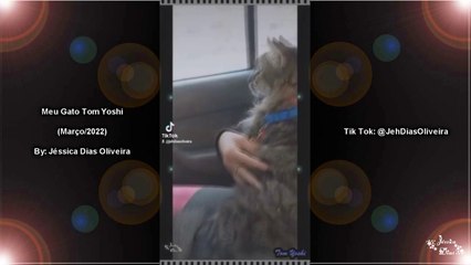 Meus Vídeos do Tik Tok (@JehDiasOliveira) (Março/2022) #16