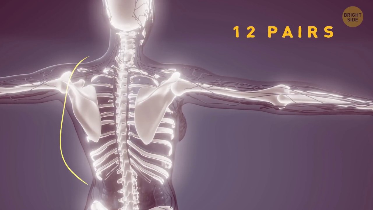 Only 8% of People Have This Body Feature + 17 Rare Body Features