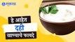 Curd Benefits | 'हे' आहेत दही खाण्याचे फायदे  | Sakal |