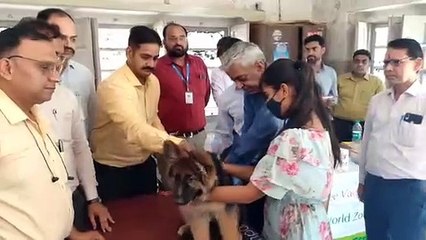 227 पशुओं मूक पशुओं की हुई निशुल्क जांच किया टीकाकरण
