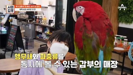 끝이 없는 사업 확장?! 앵무새로 가득한 신개념 카페★