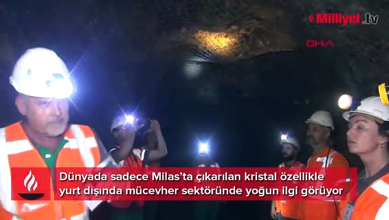 Dünyada sadece Milas'tan çıkıyor! 'Pırlantadan 10 bin kat daha nadir görülüyor'