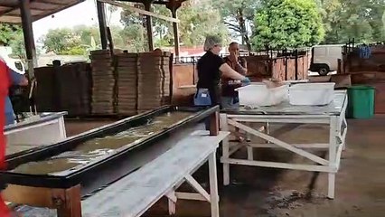 Trabalhos seguem a todo vapor para a preparação do maior churrasco do Brasil "Carne suculenta, bem gostosa e assada"