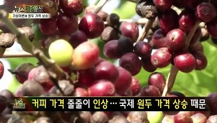 아메리카노 5000원시대, 커피값 어디까지? [탐사보도 뉴스프리즘]