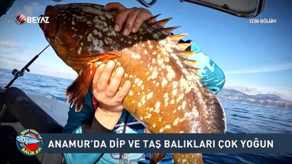 Suat Yiğit'le Balık Avı 23 Nisan 2022