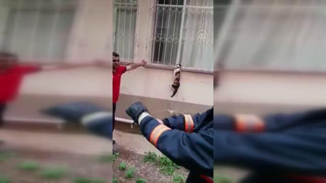 Demir korkuluğa sıkışan kediyi itfaiye kurtardı