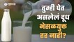Adulterated Milk | तुम्ही घेत असलेलं दूध भेसळयुक्त तर नाही?  | Sakal Media