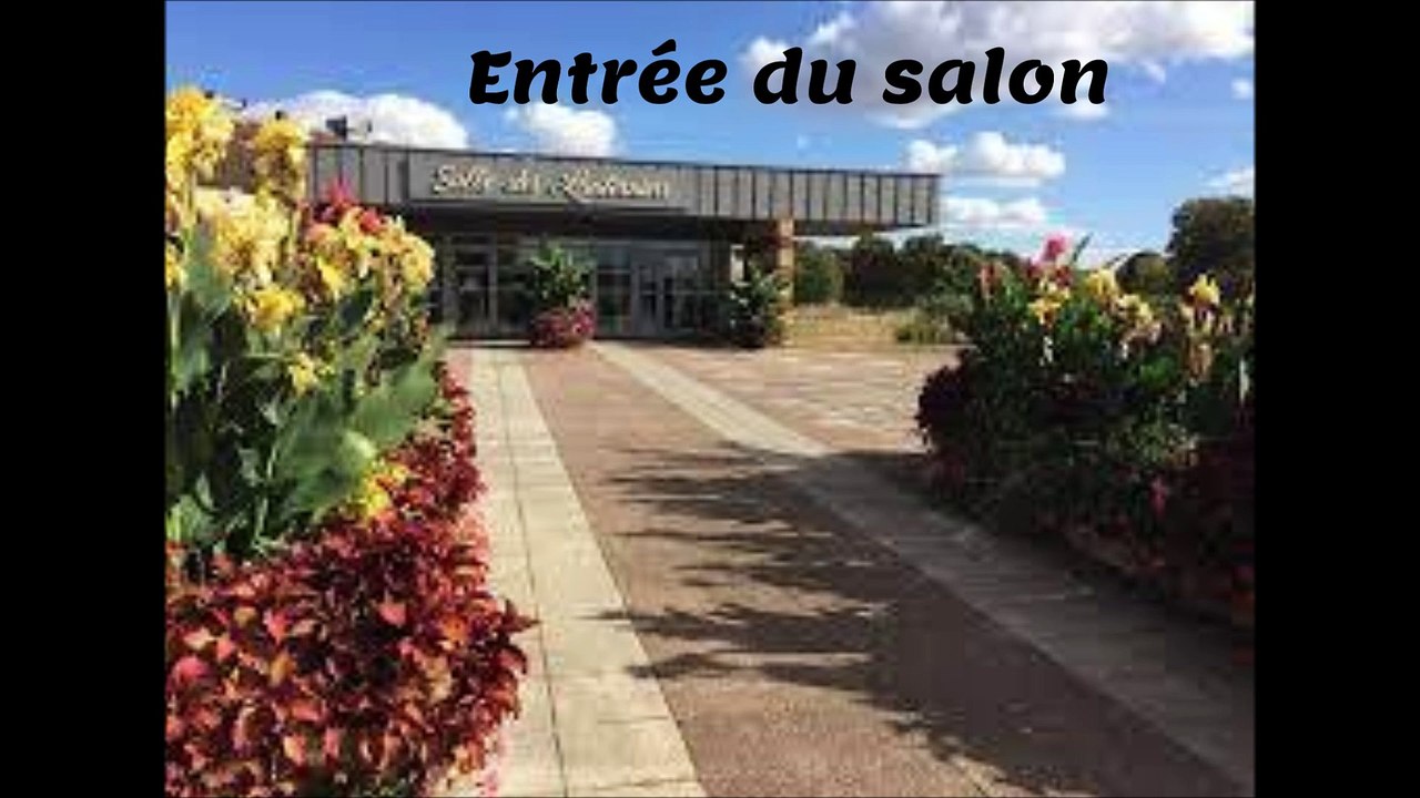 2-Salon Fan Club 100% Johnny à St Memmie (51)